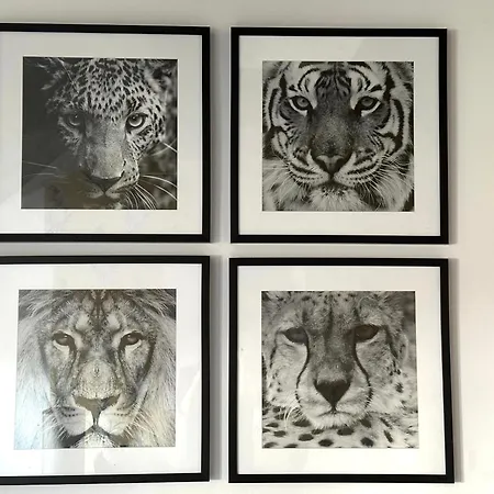 Remedium Apartament *