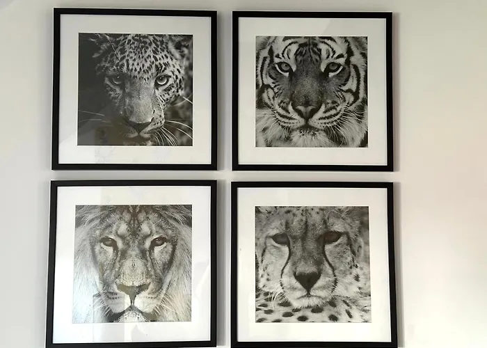 Remedium Appartement *