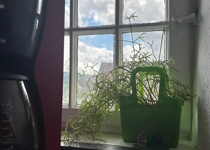 Remedium Appartement