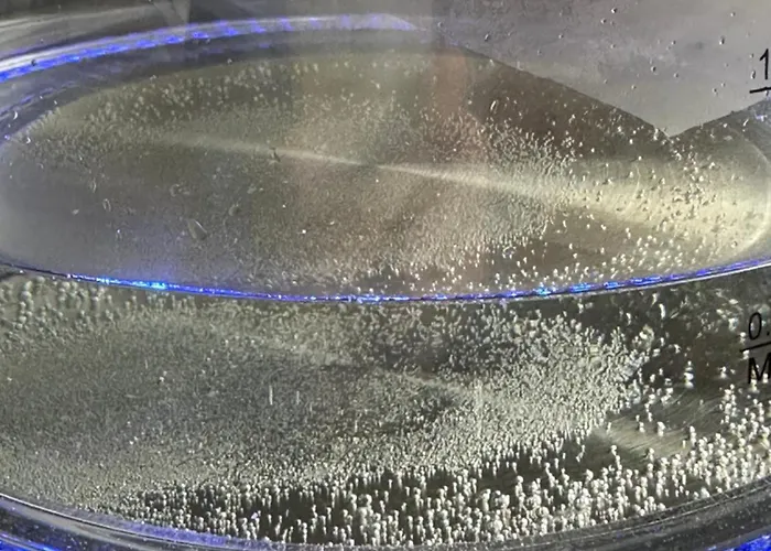 Appartement Remedium